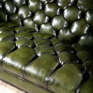 Elegant Living Room Sofa Set